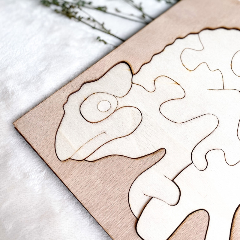 Dvoubarevná dřevěná montessori vkládačka pro...