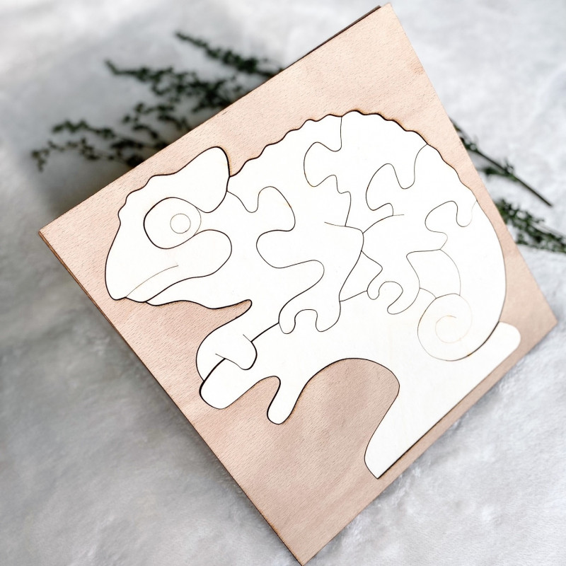 Dvoubarevná dřevěná montessori vkládačka pro...