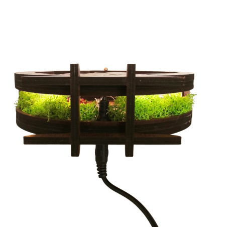 LED dekorace Malý princ s letadlem | Ořech Wenge